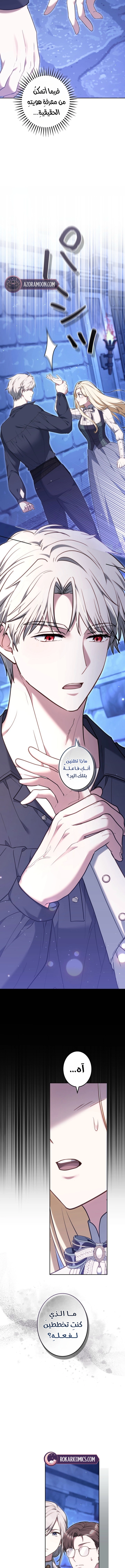 الصفحة 17