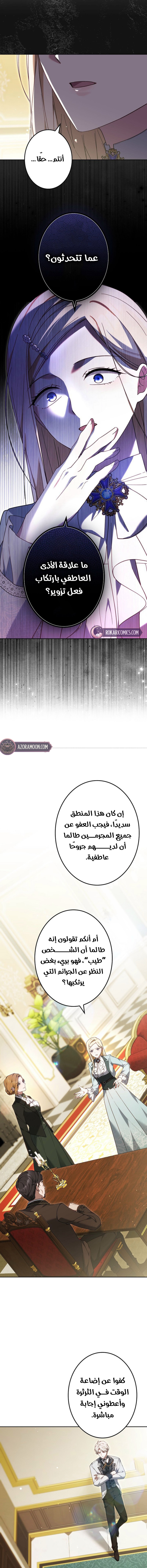 الصفحة 17