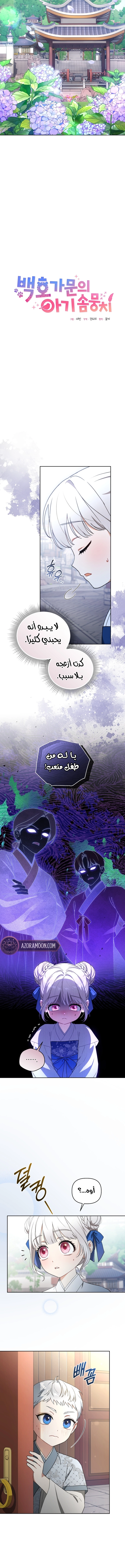 الصفحة 5