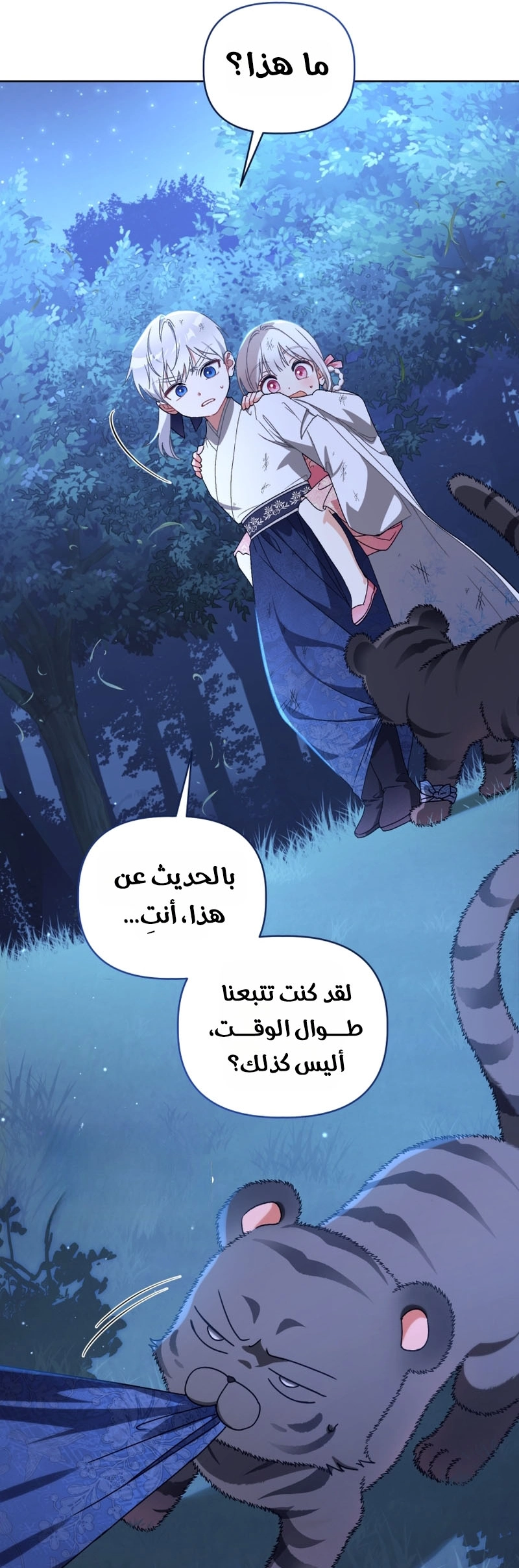 الصفحة 19
