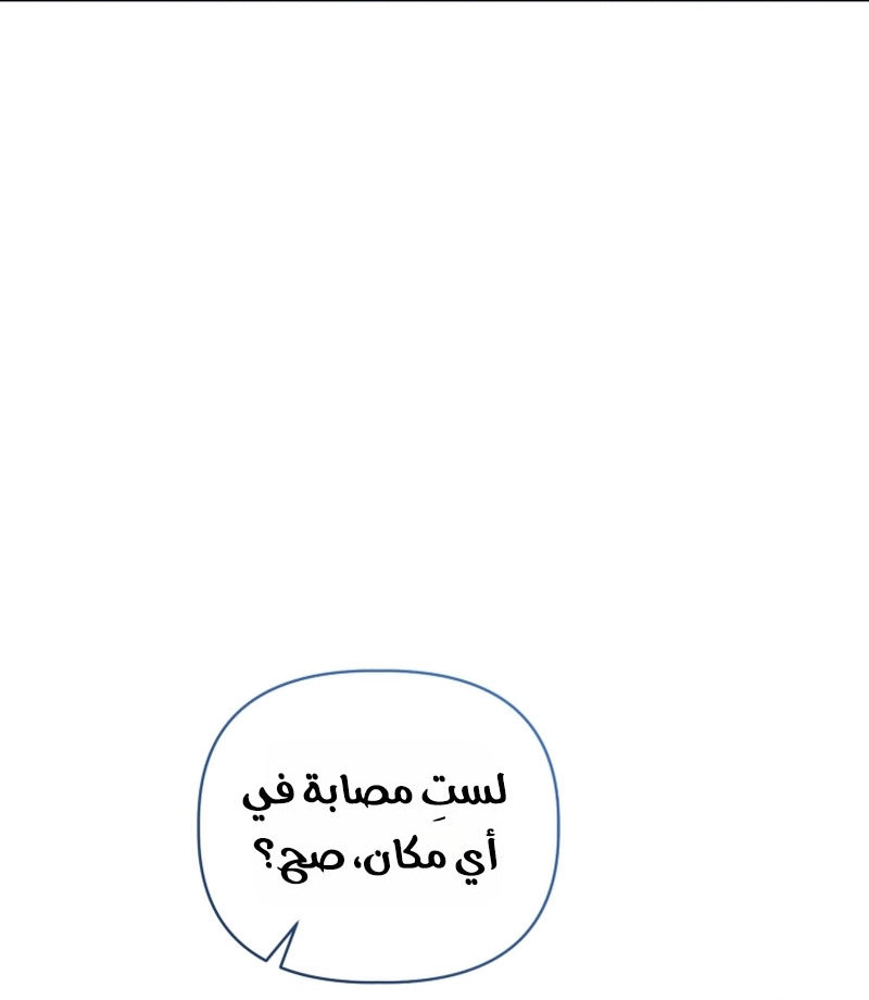 الصفحة 25