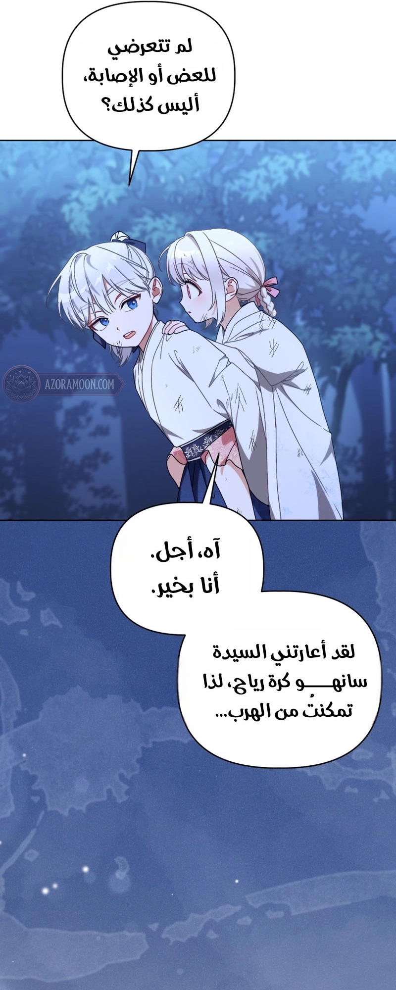 الصفحة 27