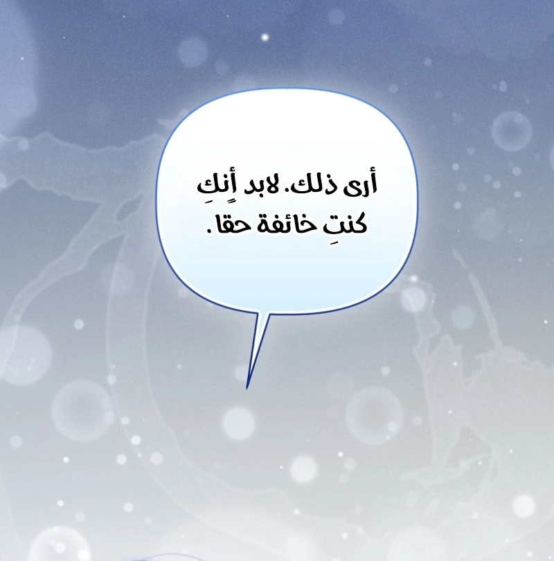 الصفحة 28