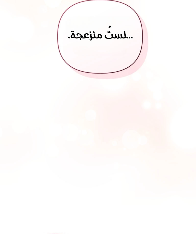 الصفحة 43