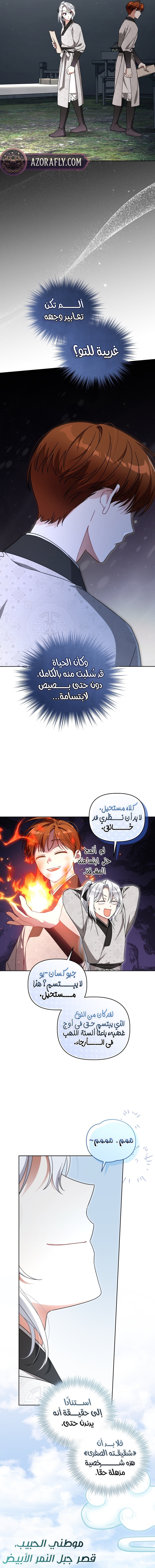 الصفحة 13