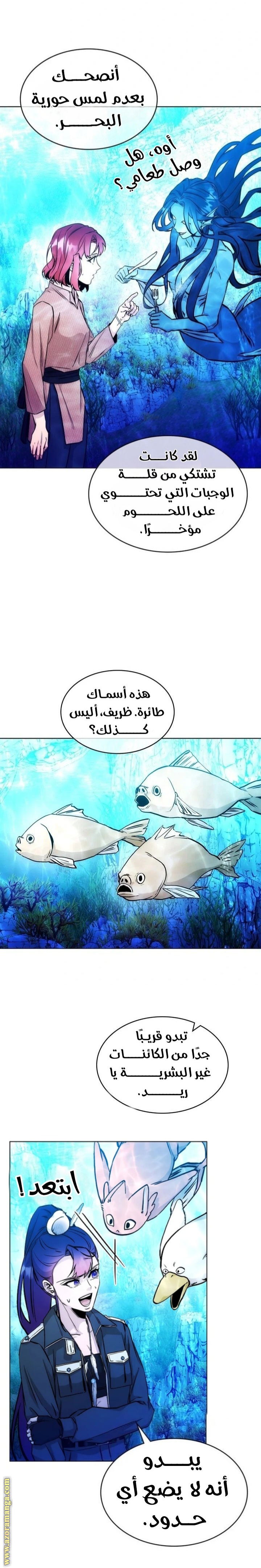 الصفحة 13
