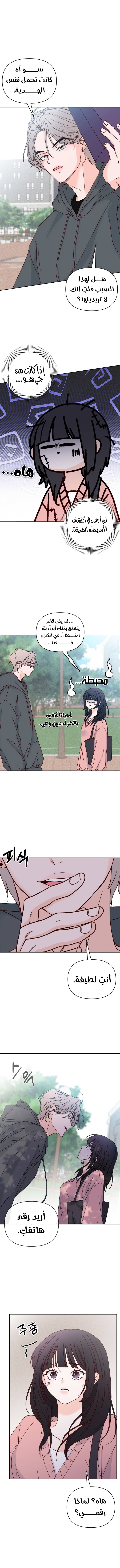 الصفحة 17