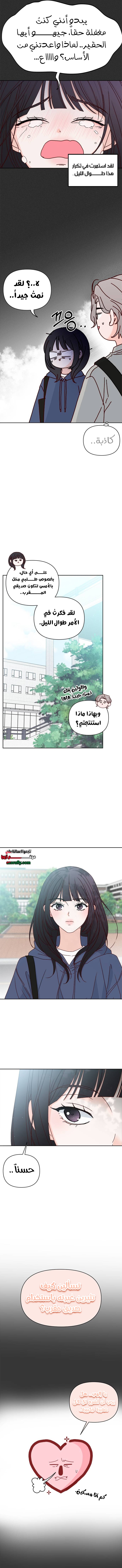 الصفحة 8