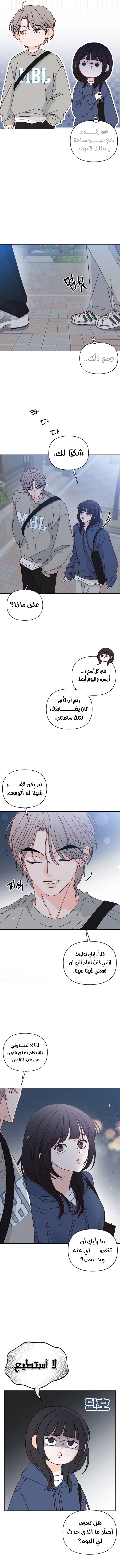 الصفحة 13