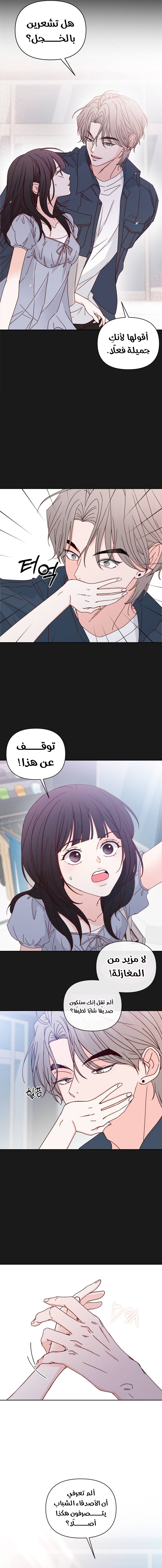 الصفحة 13