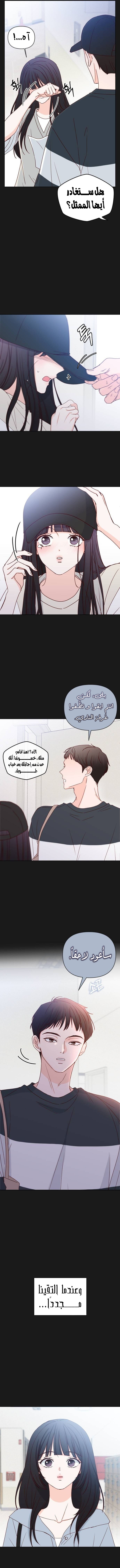 الصفحة 13