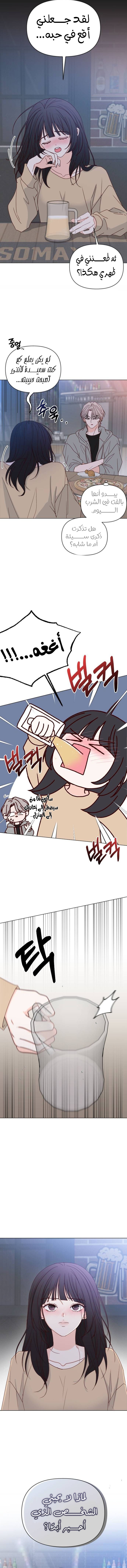 الصفحة 15