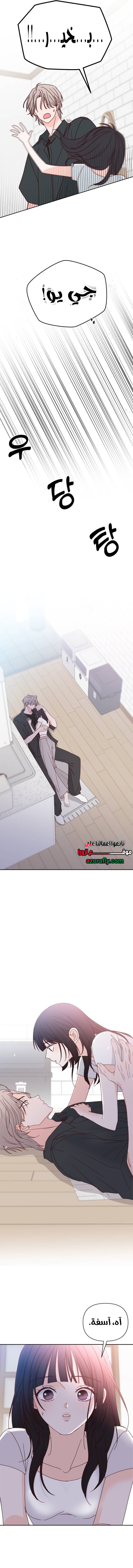 الصفحة 14
