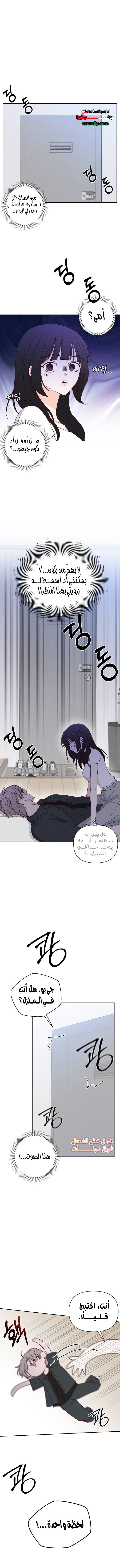 الصفحة 2