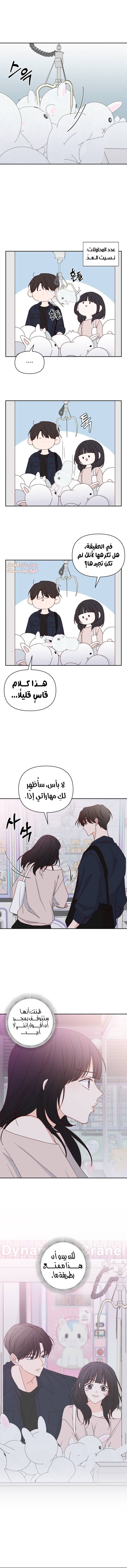 الصفحة 11