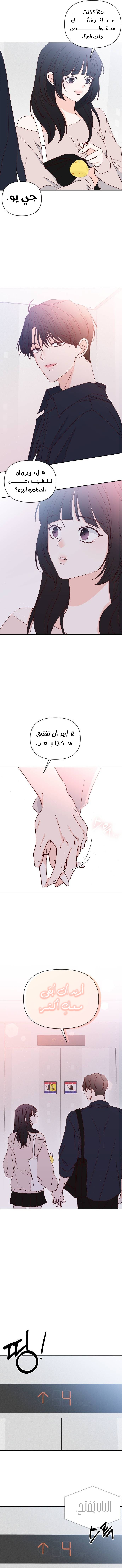 الصفحة 13