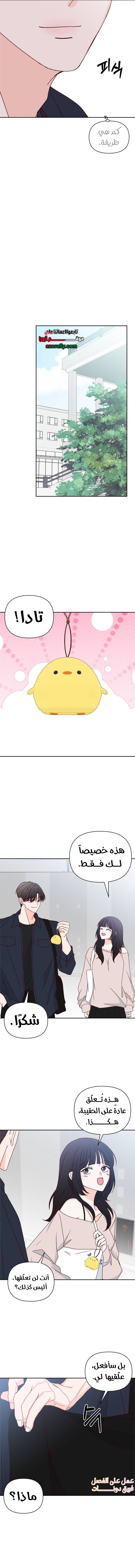 الصفحة 14