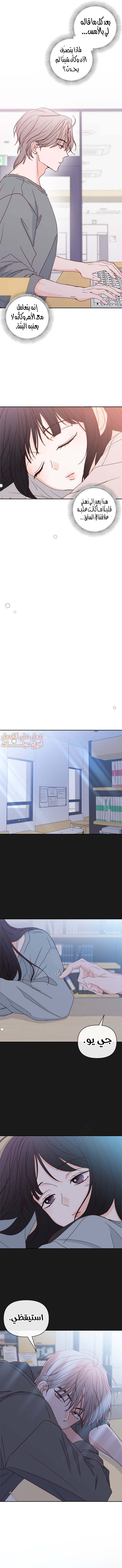 الصفحة 11