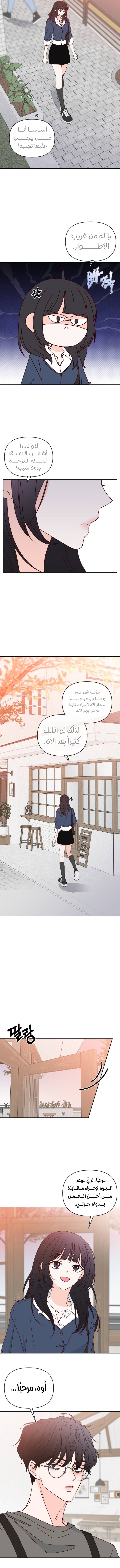 الصفحة 14