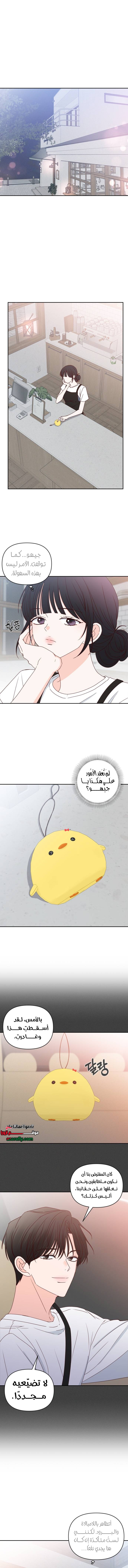 الصفحة 12