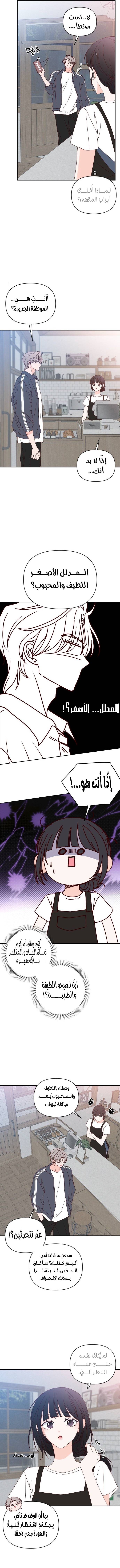 الصفحة 14