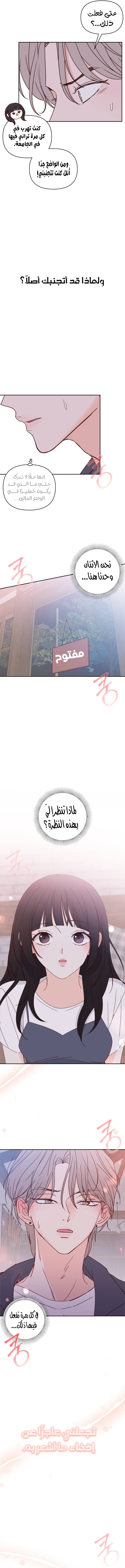 الصفحة 16