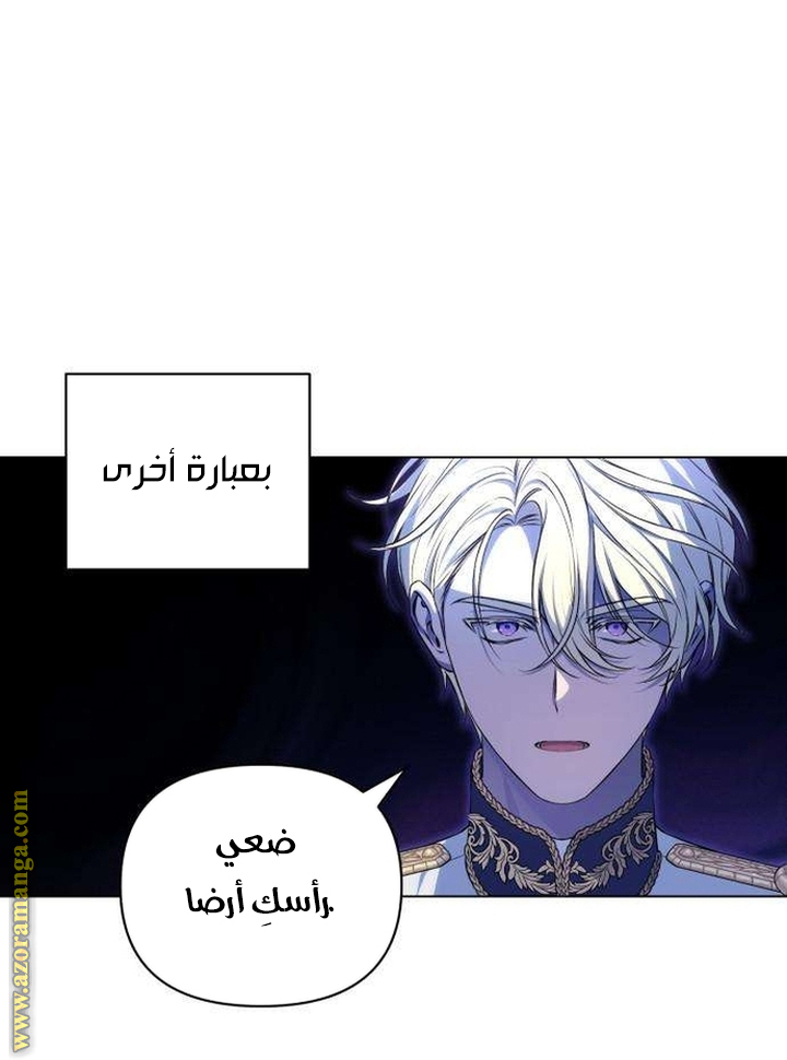 الصفحة 21