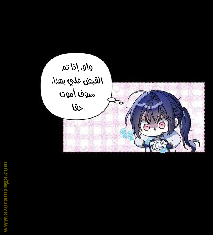 الصفحة 27