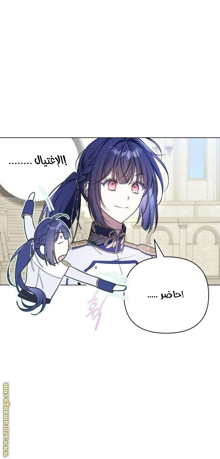 الصفحة 46