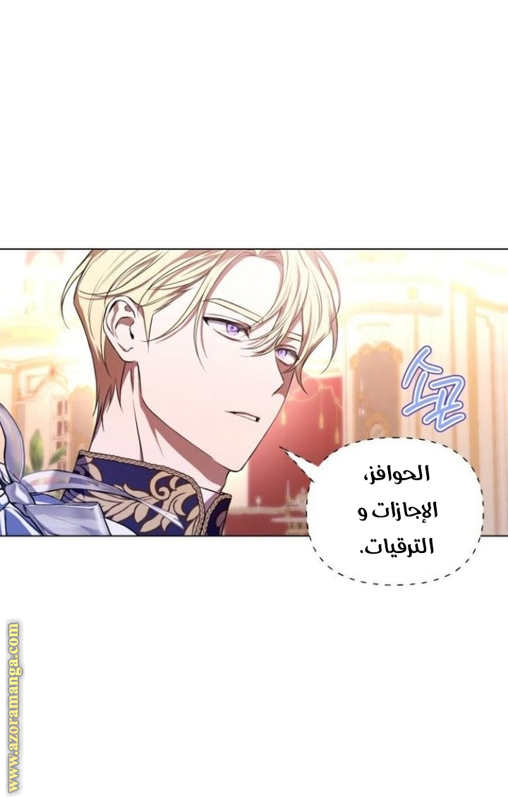 الصفحة 46