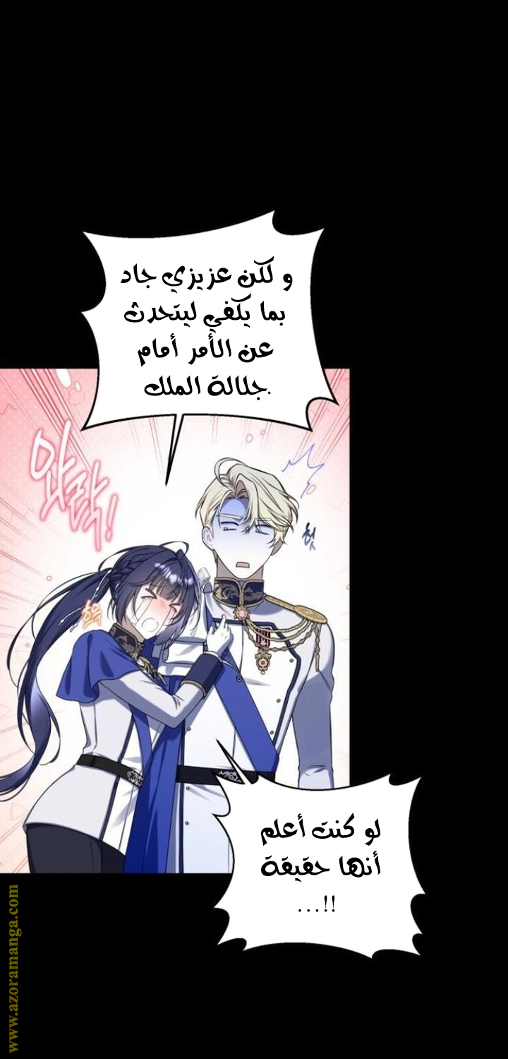 الصفحة 26