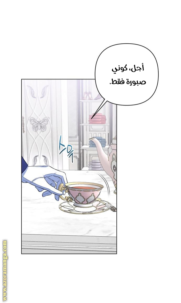 الصفحة 42