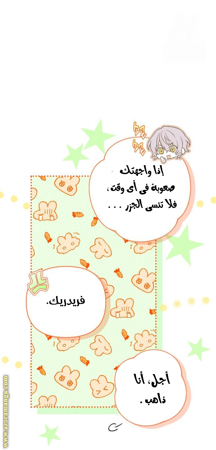 الصفحة 47
