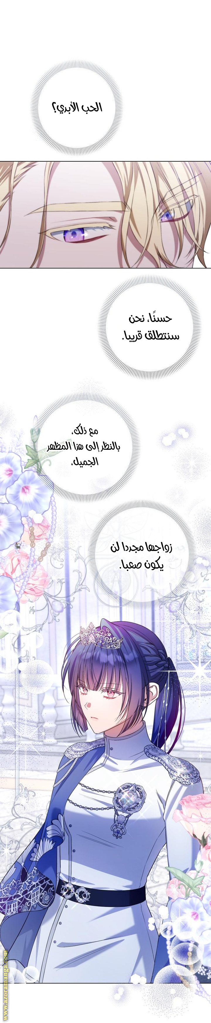 الصفحة 27