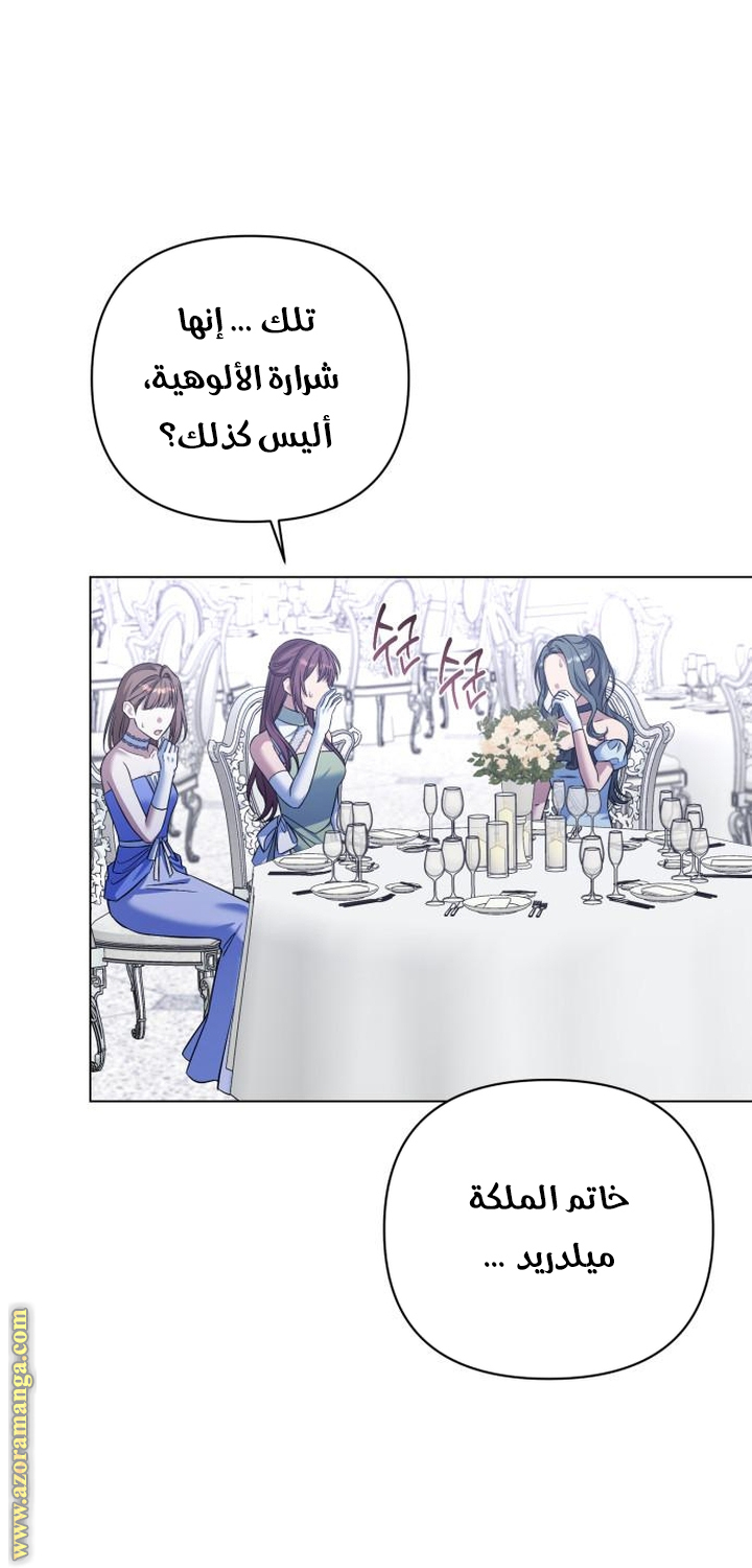 الصفحة 42