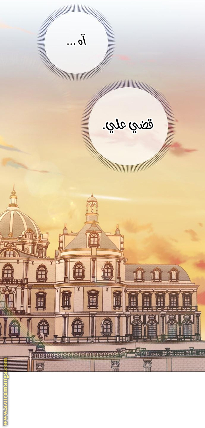 الصفحة 21