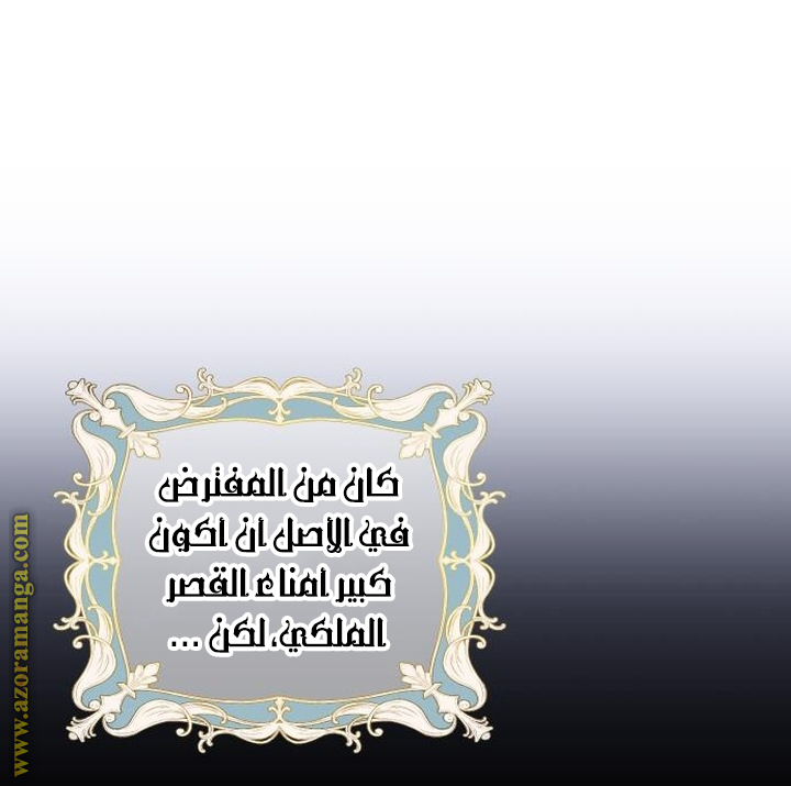 الصفحة 25