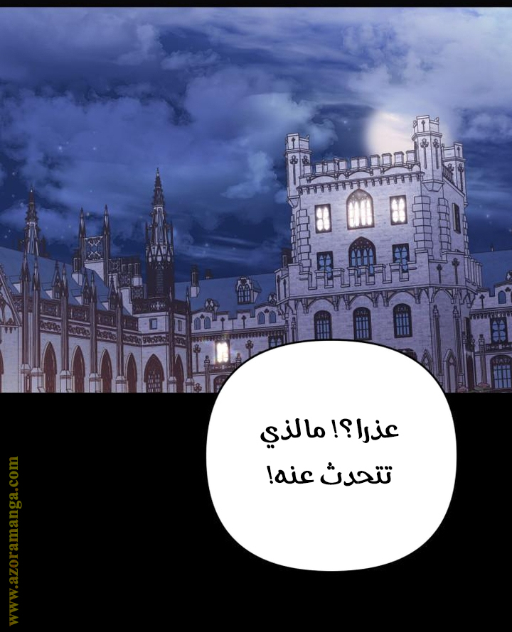 الصفحة 26