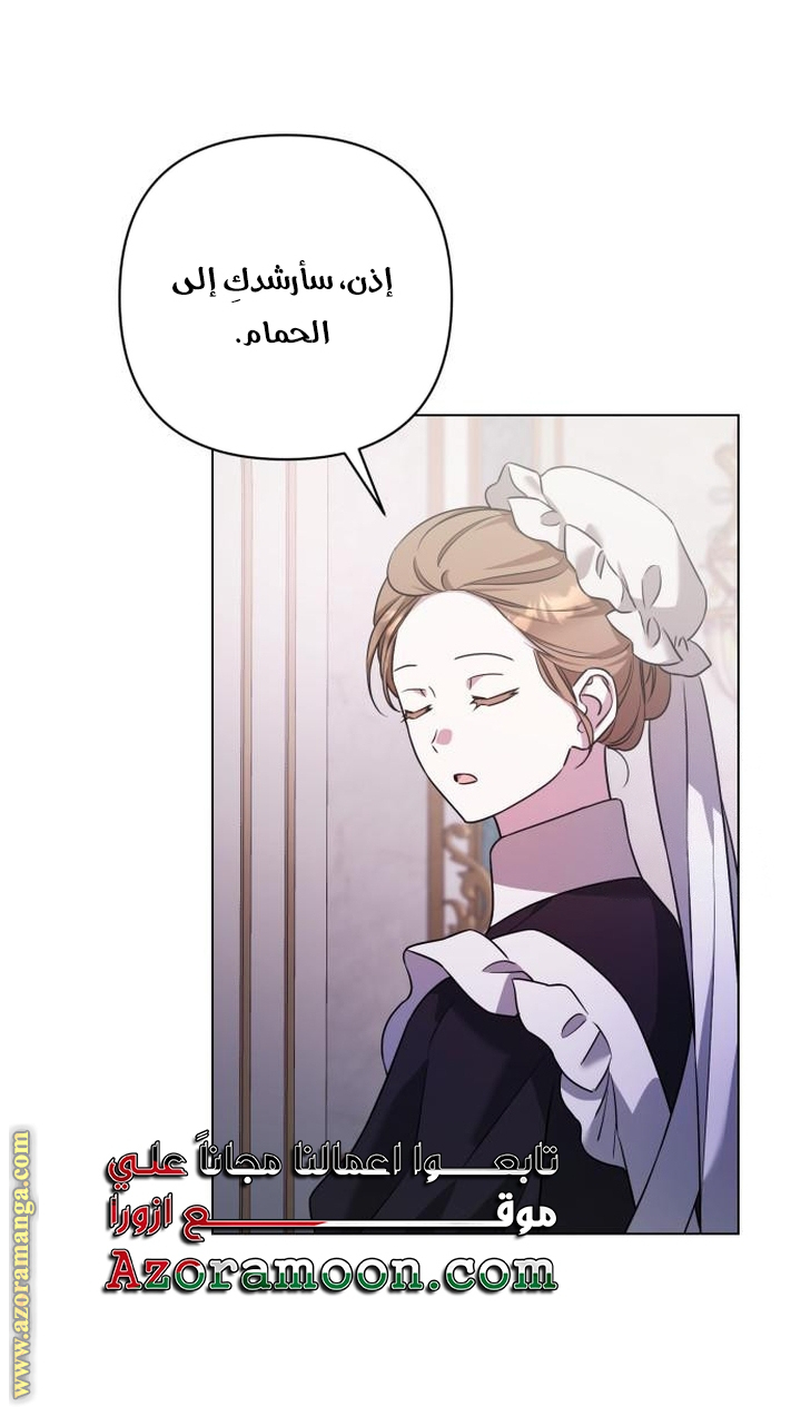 الصفحة 43