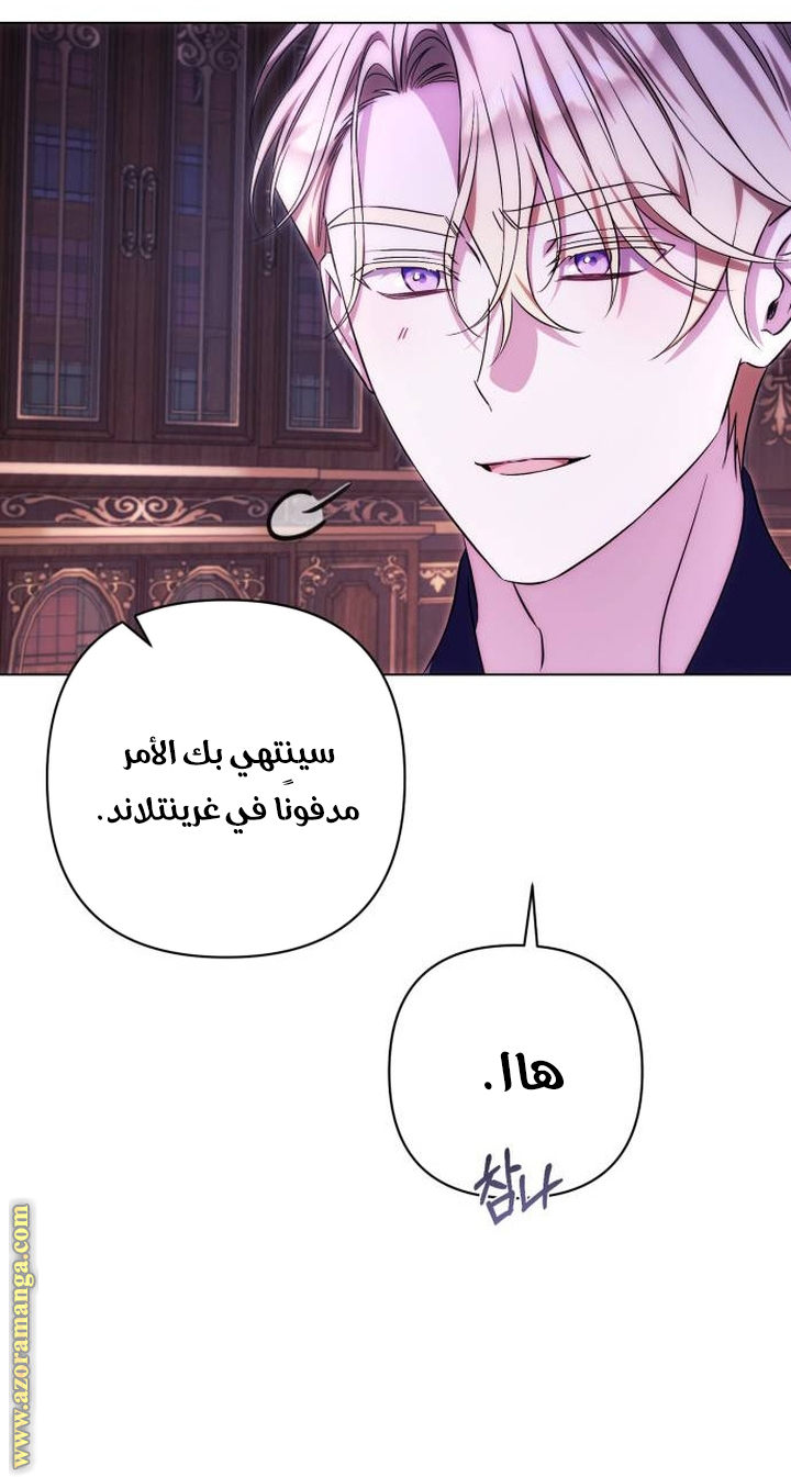 الصفحة 25