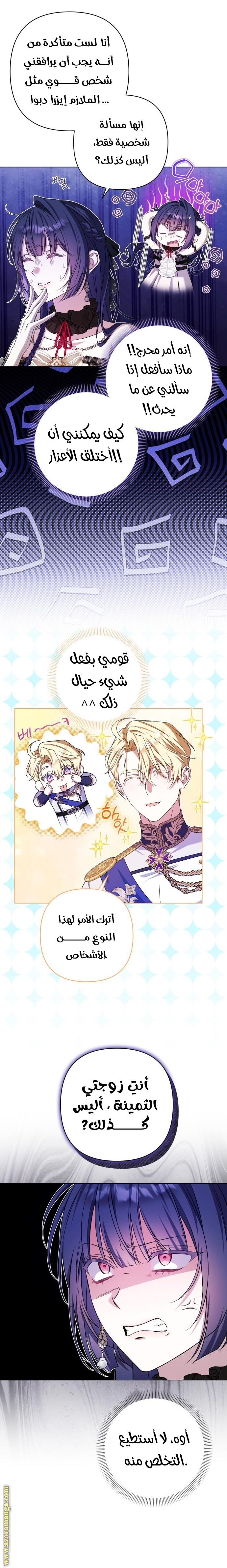 الصفحة 19