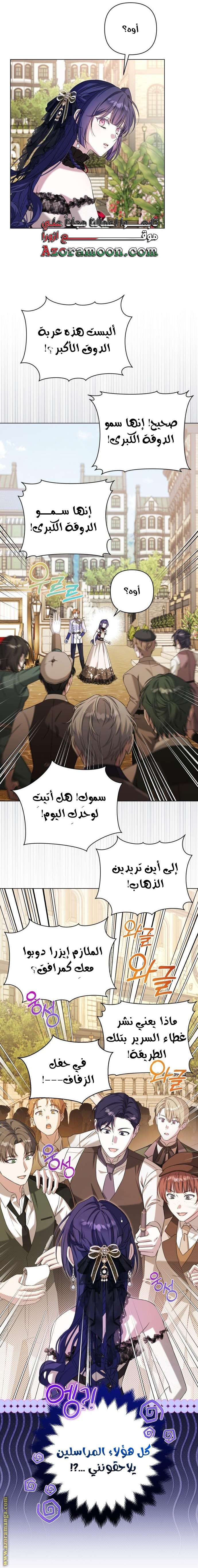 الصفحة 26