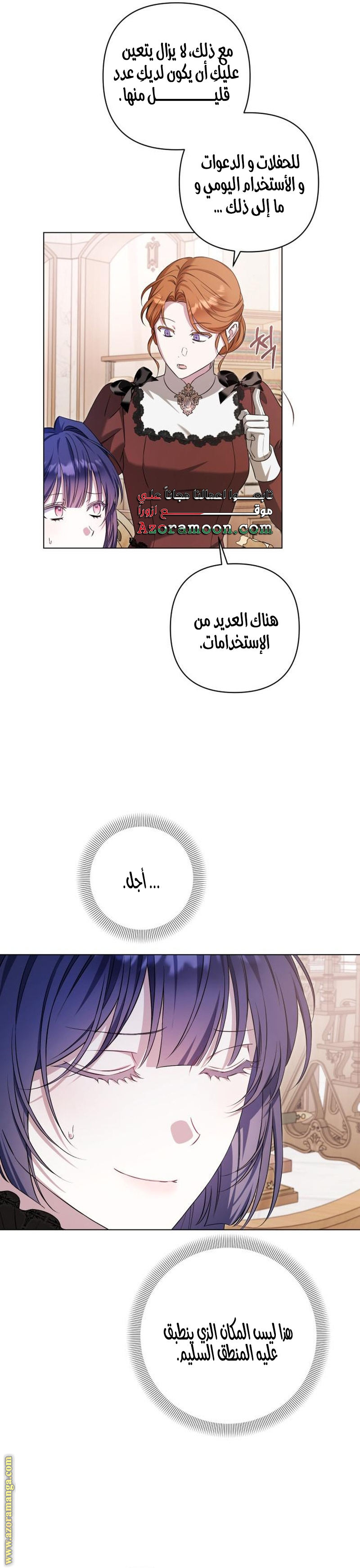 الصفحة 17
