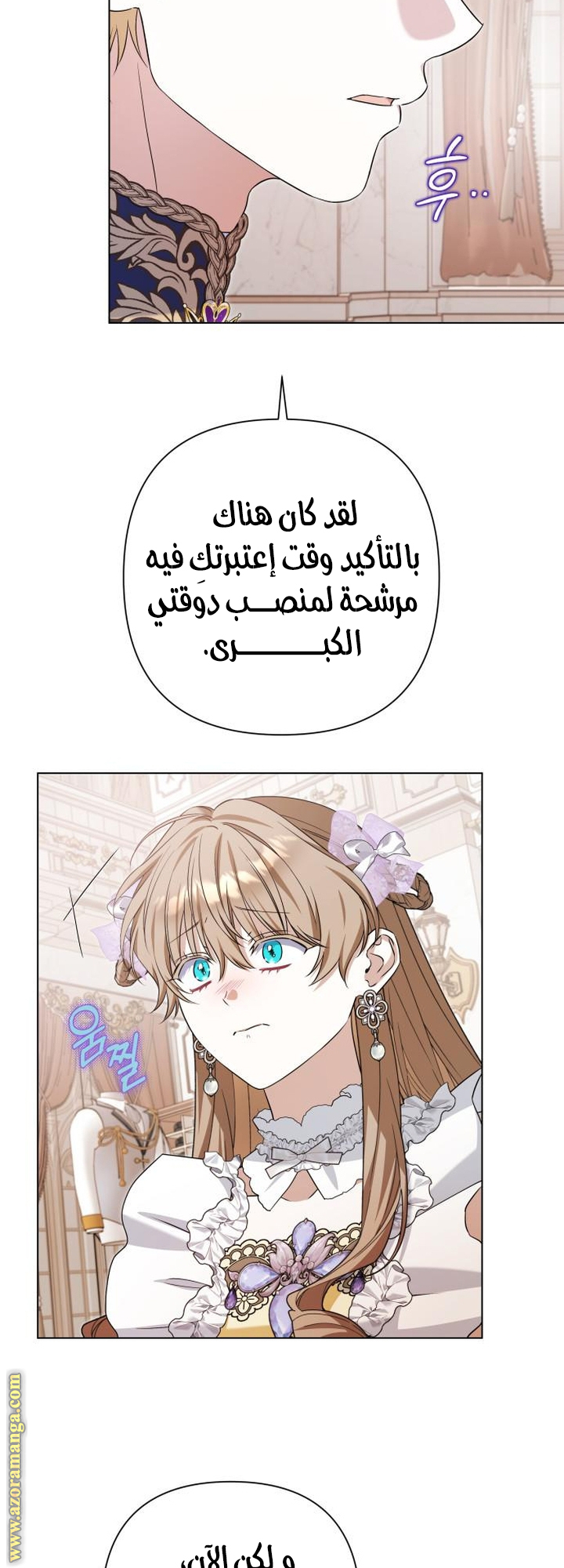 الصفحة 17