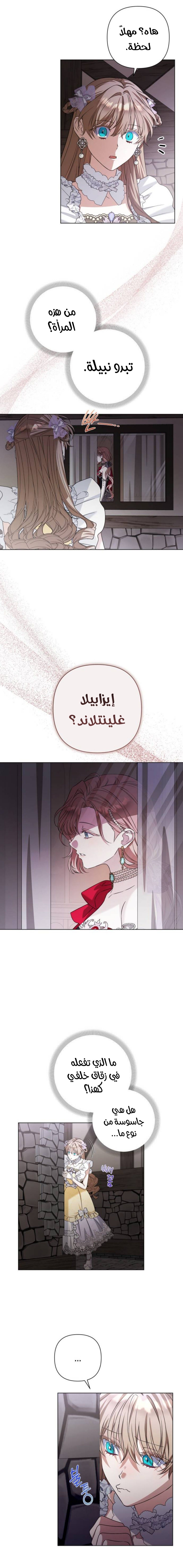 الصفحة 17