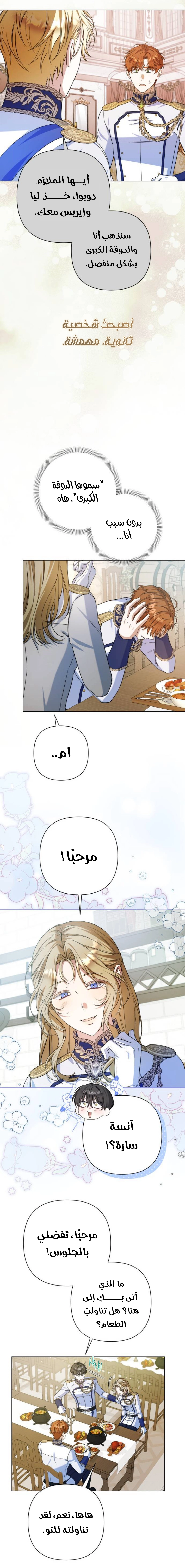الصفحة 14