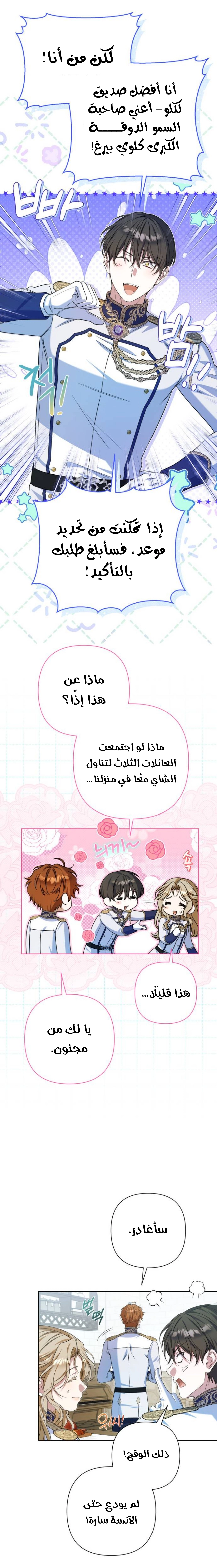 الصفحة 17