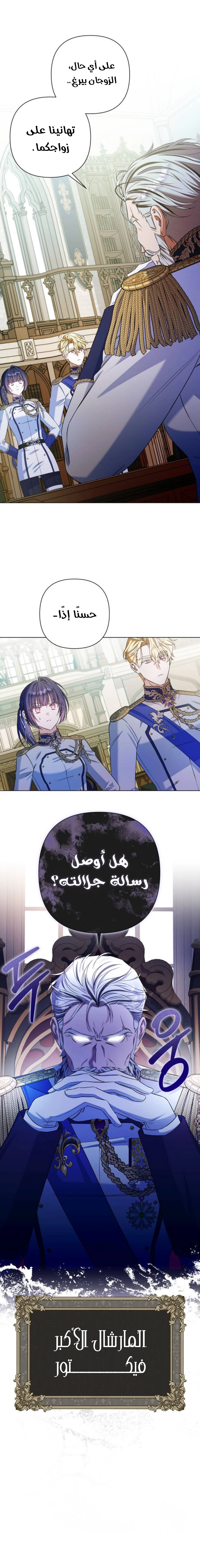 الصفحة 19
