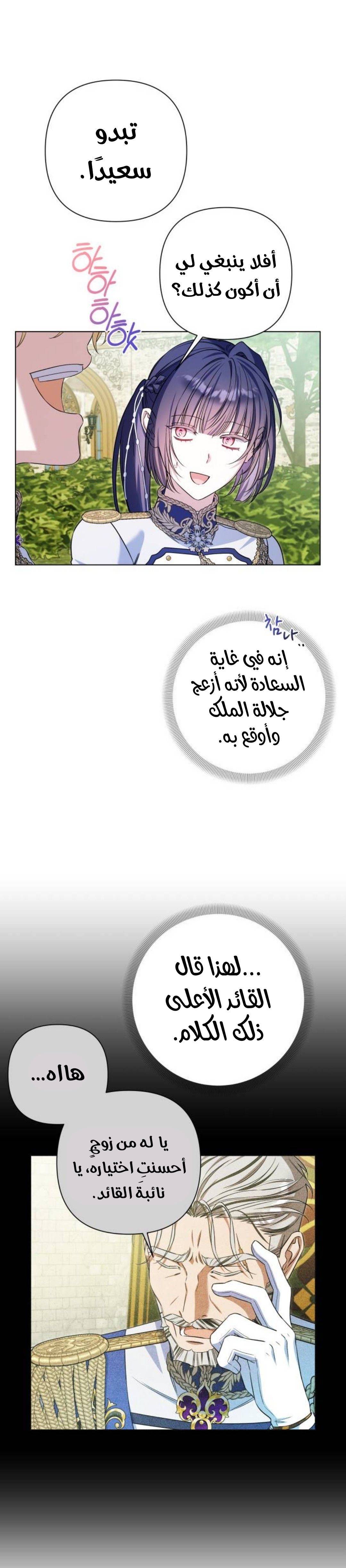 الصفحة 17