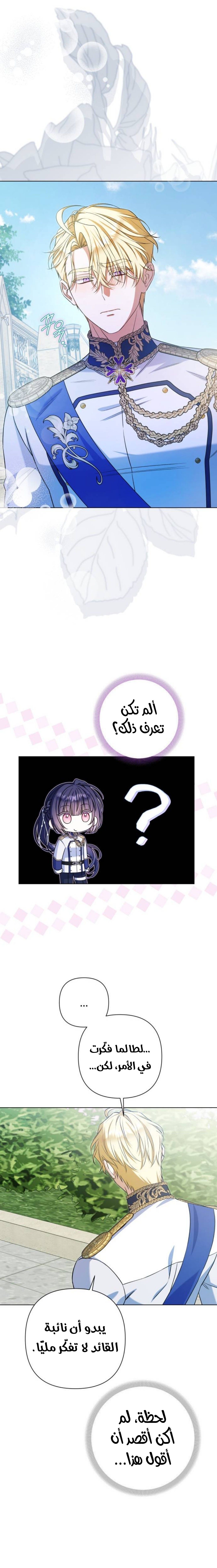 الصفحة 26